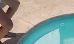 Dogs React to RC Shark