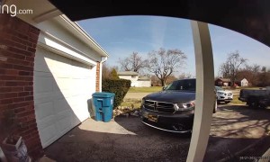 Doorbell Camera Catches Rottweiler Chasing Neighbor