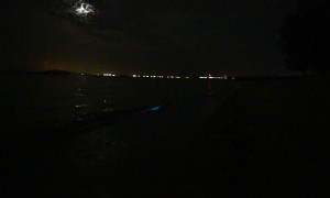 Blue Tide at Changi Beach