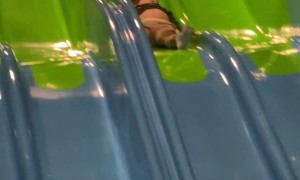 Kiddo 'Enjoying' the Slide