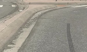 Mother Moose Walks Her Twins Down the Street in Alaska
