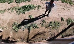 Guy Gets Lost Crash Landing While Skydiving and is Helped by Kids