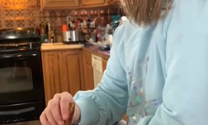 Farm Teaches Girl About The Food Chain