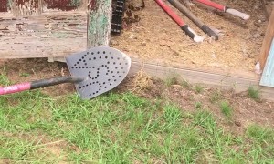 Startling Snakes Cause Comical Scream