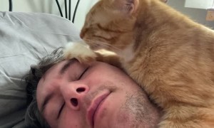 Saturday Mornings are for Cleaning Your Tail