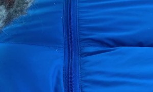 Cold Weather Camping Cuddles with a Dog