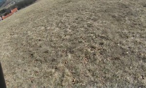 Dust Devil Catches Paraglider