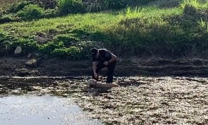 Police officer rescues dog stuck in mud