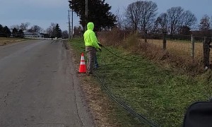 Cow "Flirts" with Lineman