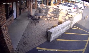 Deer Herd Crashes into Wisconsin Pub