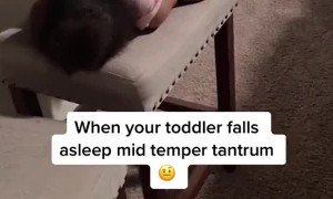 Toddler Falls Asleep Mid Temper Tantrum on Stool