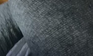 Cat Brings a Little Surprise Over to Owner