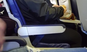 Paying Nephew $40 to Ask Stranger on Plane for Bite of Food