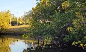 Beating the Tide by a Matter of Minutes