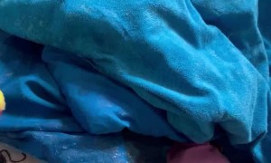 Kiddo Gets Carried Away with Ointment