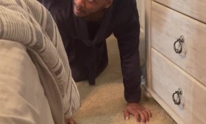 Rescue Kitten Keeps Father Fit