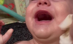 Baby Giggles While Getting His Face Cleaned