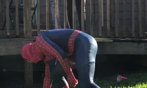 Spider-Man Doesn't Quite Stick Landing