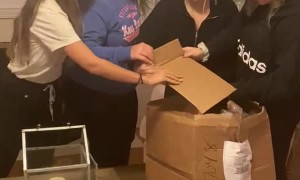 Couple Surprises Family With Pregnancy Announcement