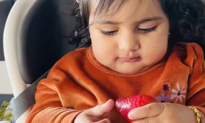 Baby Tries Strawberry for the First Time