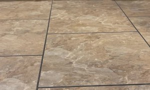 Baby Duck Pitter Patters on Hard Floor