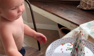 Kiddo Decorating Christmas Cone Trees Slips and Hits Table