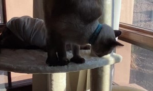 His Nickname is Thud