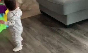 Sweet doggy preciously entertains happy baby