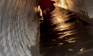 Approaching Gators in a Drain Pipe