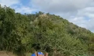 Baby Rhino Running Around with Her Favorite Blankie