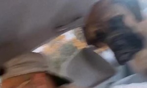 Dog Barfs From the Backseat