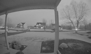 Boxer Rings the Doorbell