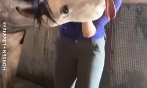 Happy horse thoroughly enjoys being scratched 