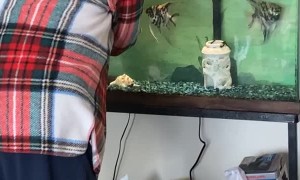 Grandma The Fish Whisperer Puts Fish in Timeout