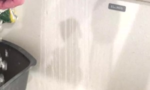 Cleaning Up a Rescued Baby Opossum