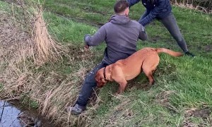 Getting the Ball Goes Bad