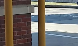 Money Blows Away in the Breeze