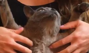 Have You Ever Been This Relaxed?