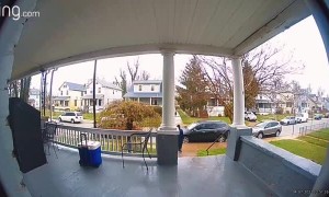 Slipping On Slick  Stairs and Playing it Cool