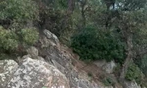Girl Running Against Friend in Mountain Race Trips Over Her Foot