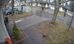 Driver Loses Control of Reversing Car