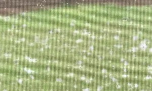 That’s Some Crazy Hail
