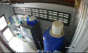 Slithering Intruder Sneaks in Through Ceiling