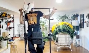 Birds Help with Workout