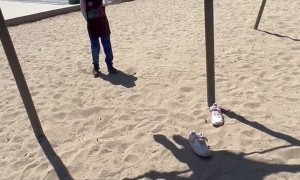 Unexpected Flying Wig Has Kids Laughing Looney