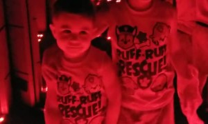 Kid Gets a Little Too Confident in Mirror Maze