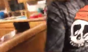 Attempt to Scare Dog Ends With Instant Karma