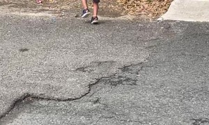 Iguana Scares Boy Going for Ball