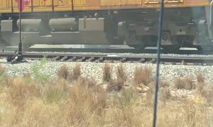 Train Collides with Truck Stuck on Tracks