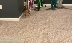 Kid Falls Head Over Heels For Easter Present